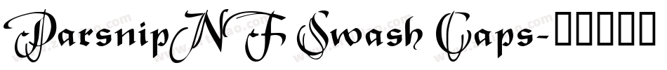 ParsnipNF Swash Caps字体转换